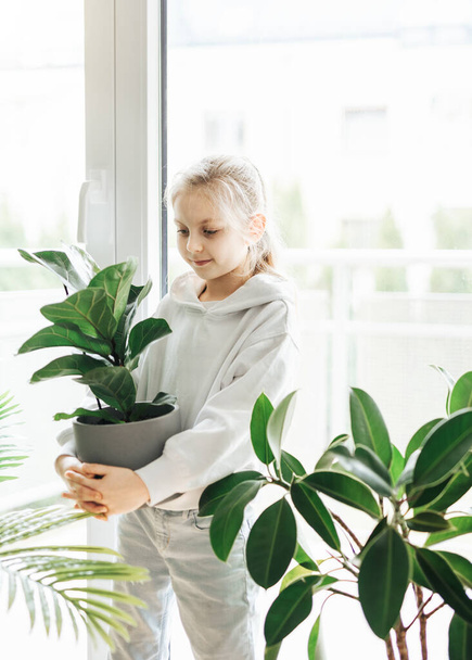 Plantas en maceta en casa, sostenidas por una linda niña - Foto, Imagen