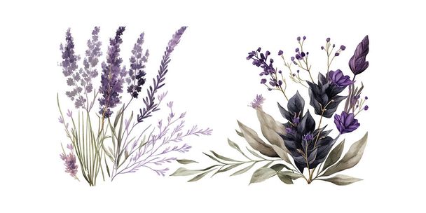 Vesiväri bakground laventeli kukkia ja lehtiä. Vektorikuvauksen piirtäminen. - Vektori, kuva