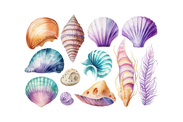 Watercolor set of seashells on white background. Vector illustration desing. - Вектор, зображення