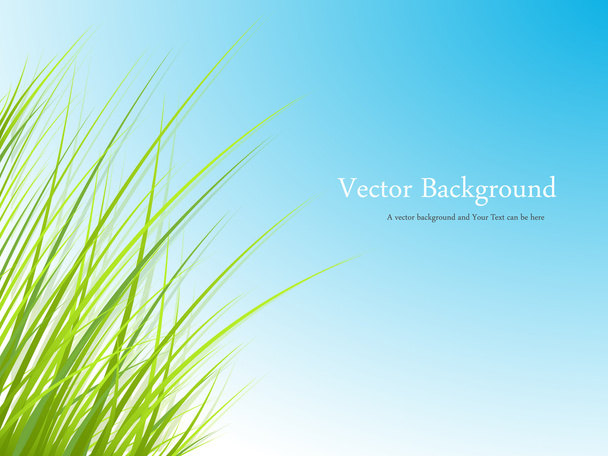 Grass Leaf Banner Design - Wektor, obraz