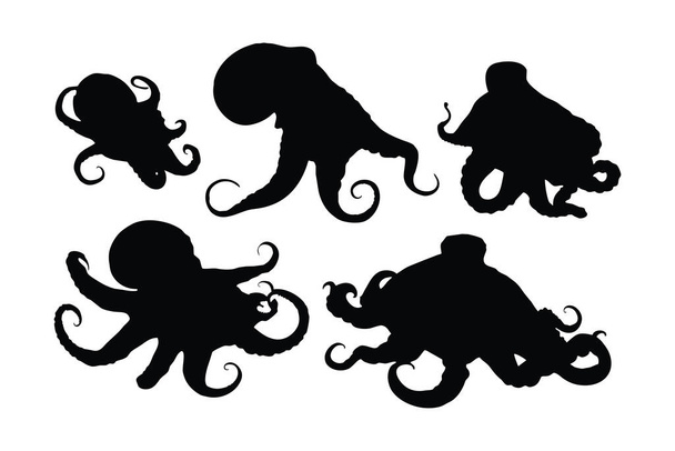 Octopus siluetti nippu. Octopus lonkeroita siluetti asettaa vektori. Octopus indeksointi siluetti nippu suunnittelu. Meri olentoja vektori valkoisella taustalla. Mustekalat eri asennoissa. - Vektori, kuva