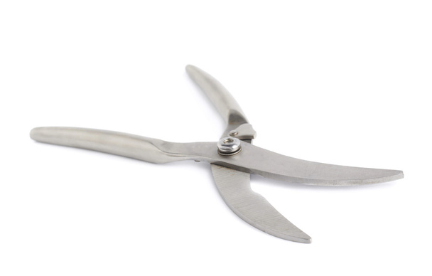 Secateurs fish metal scissors - Foto, imagen