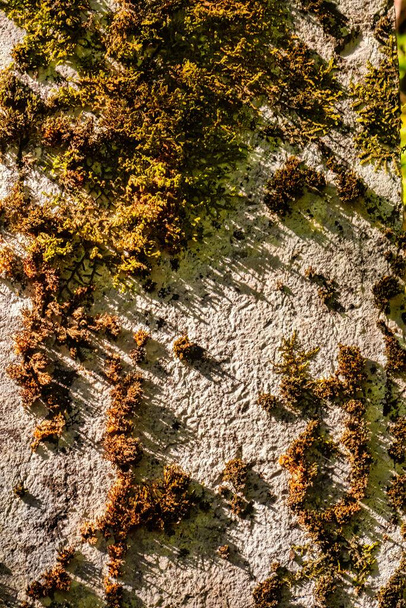 creepy cracks, moss and linches on historic old errodated walls - Foto, afbeelding