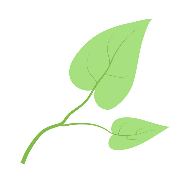 Tree green leaves in cartoon style isolated at white background. Eco friendly concept, save nature, natural product icon. Vector illustration of live nature. Icon for website or apps, logo - Διάνυσμα, εικόνα