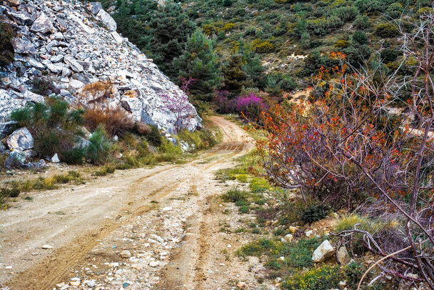 Penteli strada sterrata di montagna ad Atene, Grecia. - Foto, immagini