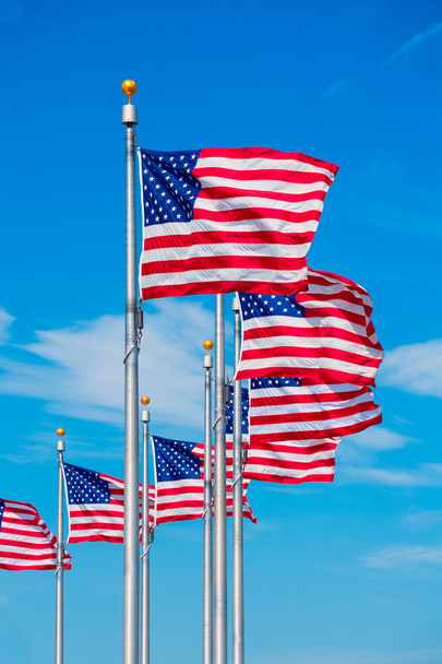 Washington Monument vlaggen cirkel in Dc Usa - Foto, afbeelding