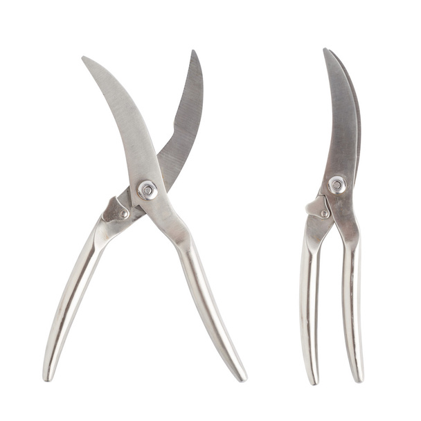 Secateurs fish metal scissors - Photo, image