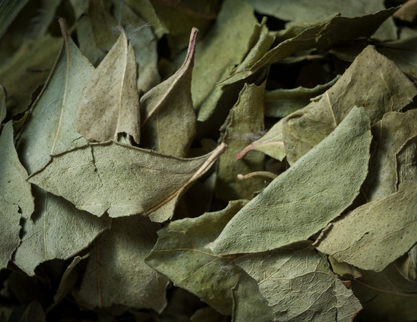 Dried curry leaves - Foto, Bild