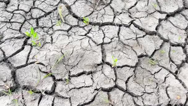 Globale Erwärmung Konzept Umweltfragen. Trockenes Land ohne Regen. - Filmmaterial, Video