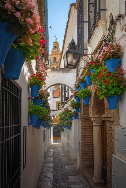 Calleja de las Flores Street s květináči a věží katedrály - Cordoba, Andalusie, Španělsko - Fotografie, Obrázek