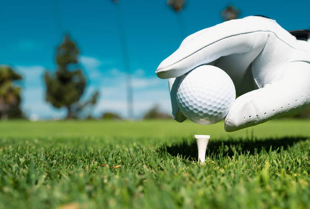 Hand putting golf ball on tee in golf course. Golf ball in grass. Golf ball on tee ready to be shot - Фото, зображення