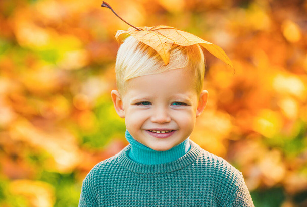 Smiling blonde kid hold autumn leafs in the nature. Autumn kid, cute child with fallen leaves in autumn park. Yellow maple leaves on kids head - Foto, Imagem