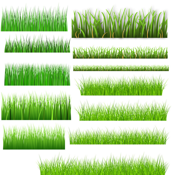 Diferente tipo colección de hierba
 - Vector, imagen