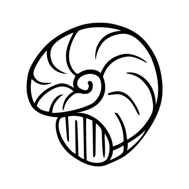 Seashell doodle isolated on white background. Hand drawn outline mollusk in ink pen. Decorative sketch logo illustration of summer seafood - Vektori, kuva