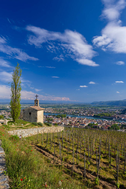 Grand cru vineyard and Chapel of Saint Christopher, Tain l'Hermitage, Rhone-Alpes, France - Photo, Image