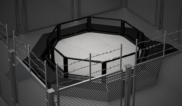 Octagon cage with net for mma fighting, 3d rendering - Photo, Image
