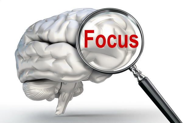 focus woord op Vergrootglas en menselijk brein - Foto, afbeelding