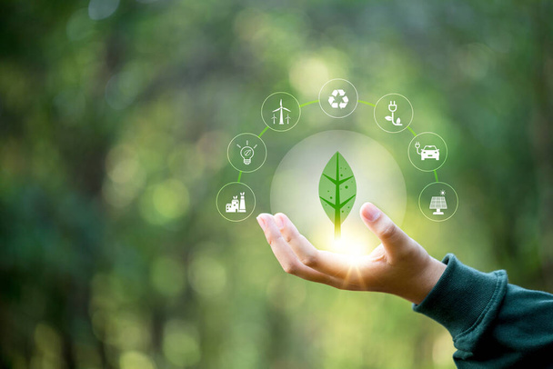 Hand holding green leaf with icons energy sources for renewable, sustainable development. Ecology concept. Technology with environment Icons over the Network connection on green background. - Photo, Image