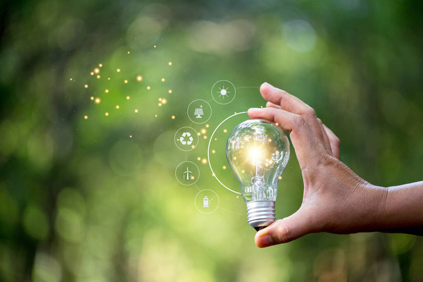 Hand holding light bulb against nature on green leaf with icons energy sources for renewable, sustainable development. saving energy and eco concept. - Photo, Image