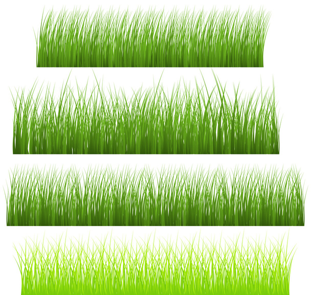 Grassline Illustration - Vector, Image