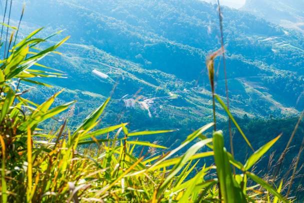 Vista de la montaña en Doi Pha Tang en la provincia de Chiangrai, Tailandia. - Foto, imagen