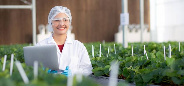 Молодая азиатка проверяет выращивание клубники со счастьем для исследования с ноутбуком в фермерской теплице лаборатории, женщина изучает клубнику с сельским хозяйством, концепция малого бизнеса. - Фото, изображение