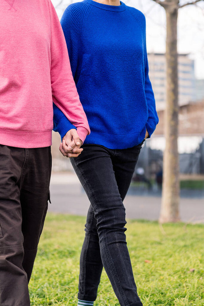 two unrecognizable people walking together holding hands in a park, concept of bonding and love, copy space for text - Photo, Image