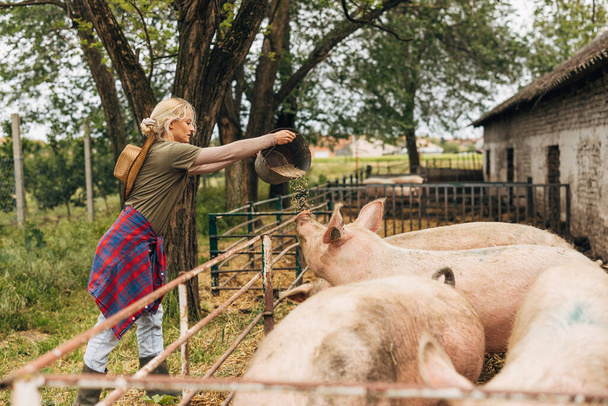 Young woman feeding pigs with whole grain. - Φωτογραφία, εικόνα