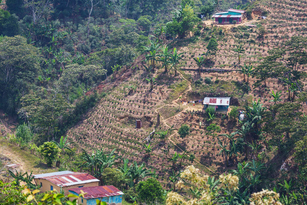 un pequeño pueblo entre las plantaciones en las montañas de Honduras - Foto, imagen