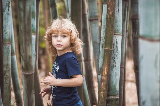 Blonder Junge im Bambuswald - Foto, Bild