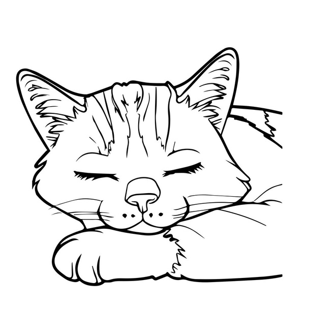 A kézzel rajzolt fekete vektor illusztráció portré egy szép szórakoztató felnőtt fiatal macska alszik egy fehér háttér - Vektor, kép