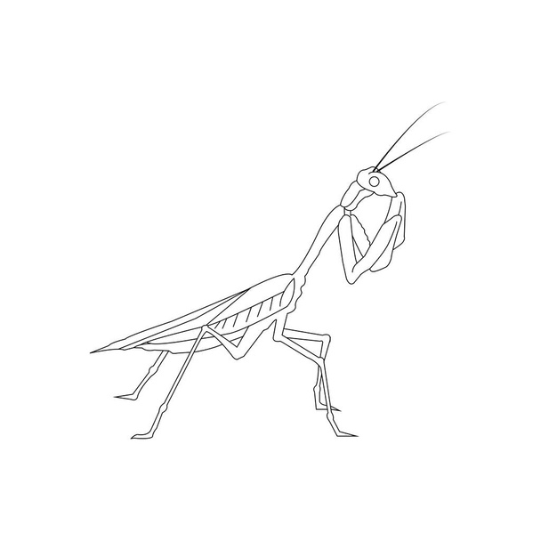 grasshopper icon vector illustration simple design - Wektor, obraz