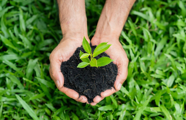the man hands holding a soil and plant. environent, Earth day, save the earth concept. - Photo, Image
