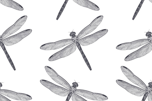 Dragonfly seamless pattern. Vector black and white illustration of insects. Vintage engraving. Flying Adder isolated on White Background. - Vettoriali, immagini