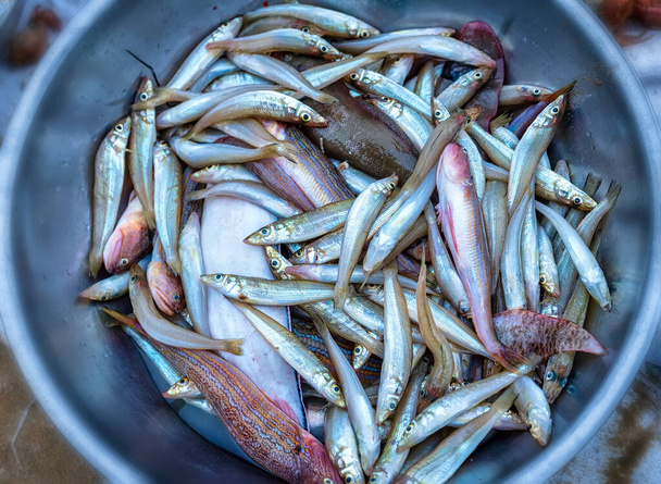 Mořské ryby po úlovku prodávaném na trhu s mořskými plody ve středním Vietnamu. Jedná se o výživné potraviny s vysokým obsahem bílkovin ve prospěch lidského zdraví - Fotografie, Obrázek
