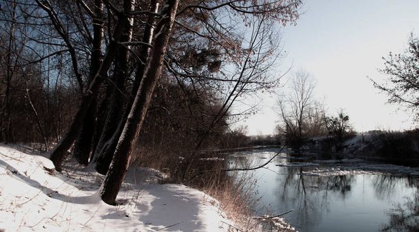 Zimowy las nad rzeką. Krajobraz z drzewami pokrytymi śniegiem, zamarznięta rzeka z odbiciem w wodzie, częściowo pokryta lodem. - Zdjęcie, obraz