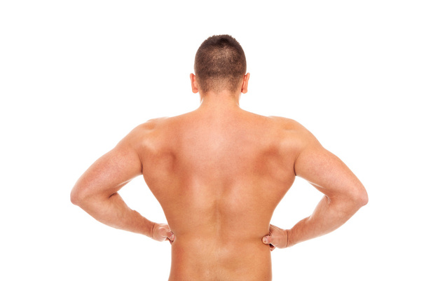 Trained bodybuilder back - Photo, Image