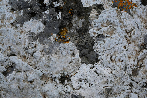 πέτρα τοίχο φόντο ταπετσαρία φόντο επιφάνεια - Φωτογραφία, εικόνα