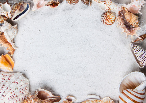 beach, summer, sea shells. Beautiful summer background texture - Foto, afbeelding