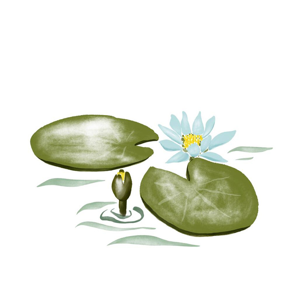 digital watercolor flower - water lily leaves, flower in water - Zdjęcie, obraz
