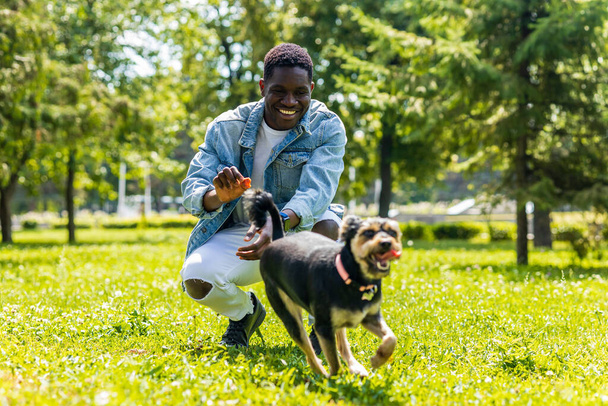 latin american man walking with his cute dog at sunny day in city park lawn on the grass. - 写真・画像