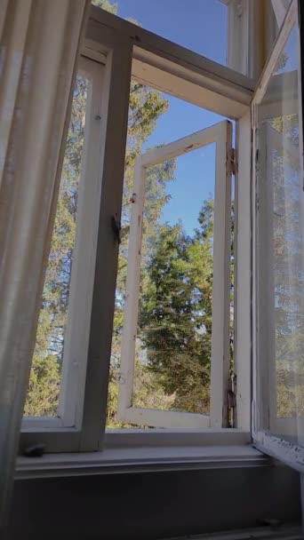 Sıcak ve güneşli bir günde büyük yatak odasının penceresi açıktır. Romantik kırsal yaşam, beyaz perdeli büyük bir pencere. Evin içinden yeşil ağaçlar ve parlak mavi gökyüzü görülebiliyor.. - Video, Çekim