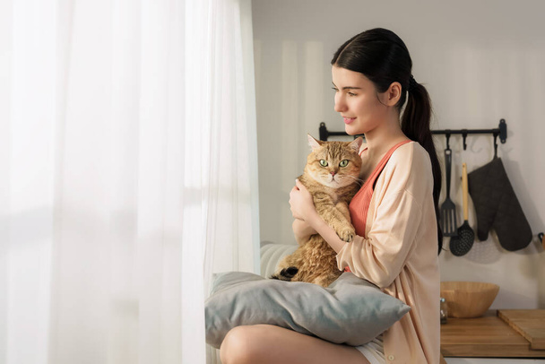 A beautiful young Asian woman relaxes on a kitchen counter, her adorable cat lounging on her lap, both gazing out a window bathed in morning light - Photo, Image