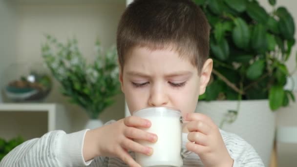 5 year old boy drinks kefir or yogurt. Dairy products for children. - Footage, Video