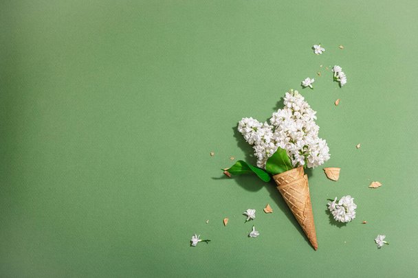 White lilac flowers in waffle ice cream cones on Savannah Green color background. Flat lay, hard light, dark shadow, traditional spring concept, top view - Photo, Image