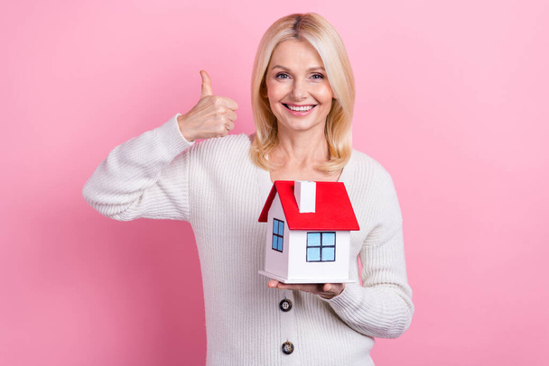 Portrait of positive aged person hold small house demonstrate thumb up approval isolated on pink color background. - Fotó, kép