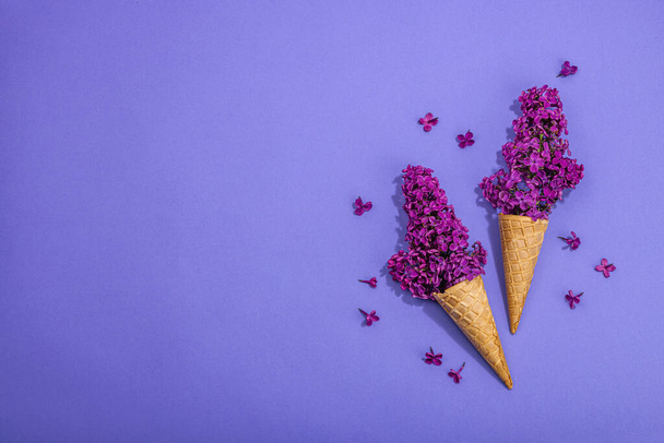 Flores de color lila violeta en conos de helado de gofre sobre fondo púrpura. Puesta plana, concepto de primavera tradicional, tarjeta de felicitación, luz dura, sombra oscura, vista superior - Foto, imagen