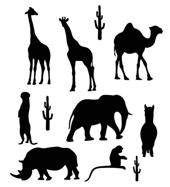 Collection silhouettes of tropical wild African animals. Vector illustration. Isolated hand drawings rhinoceros, giraffe, meerkat, camel, monkey, elephant, llama on white background for design - Vector, Image