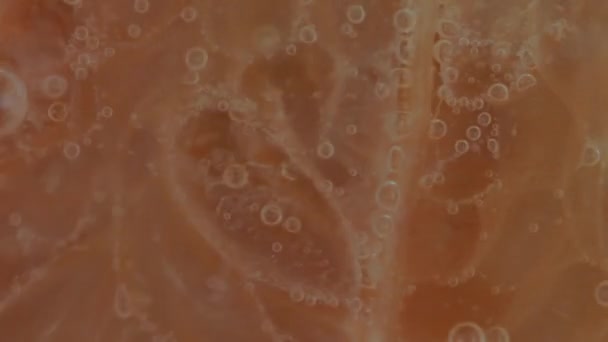 Makro záběr grapefruitového plátku v šumivé vodě. Detailní záběr grapefruitového plátku v sycené vodě. Abstraktní pozadí - Záběry, video