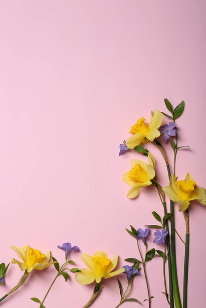 Beautiful yellow daffodils and blue periwinkle flowers on pink background, flat lay. Space for text - Φωτογραφία, εικόνα